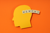 Surface learning and memorisation bias