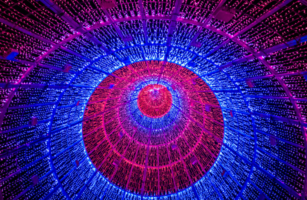 University Grants Committee